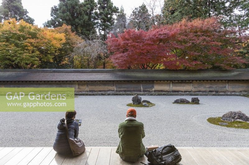Two visitors sitting on decking by The Rock Garden with raked gravel and placed stones in moss islands. Walls of clay with tiled roofs. Acers in autumn colour outside the garden. 