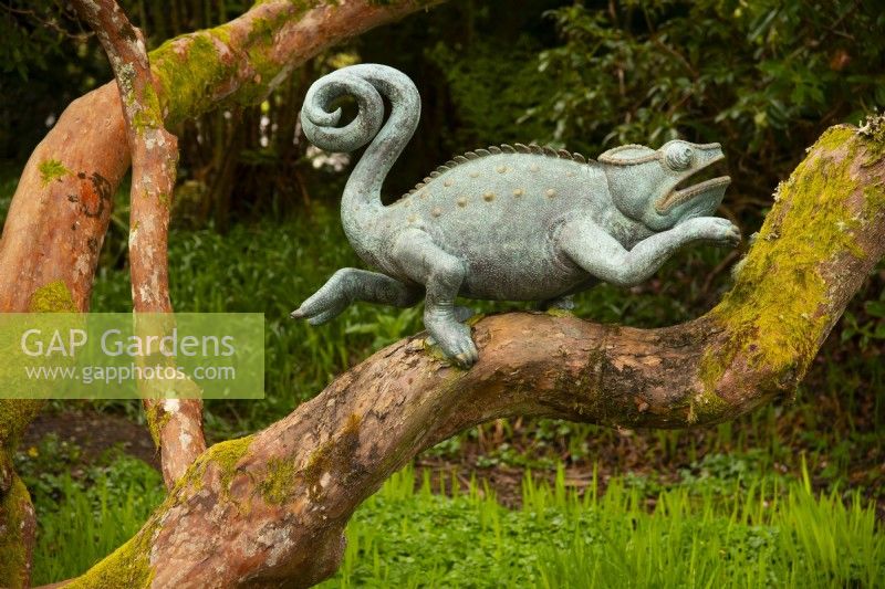 A bronze sculpture of a chameleon by Alexander Jones on a tree branch.
