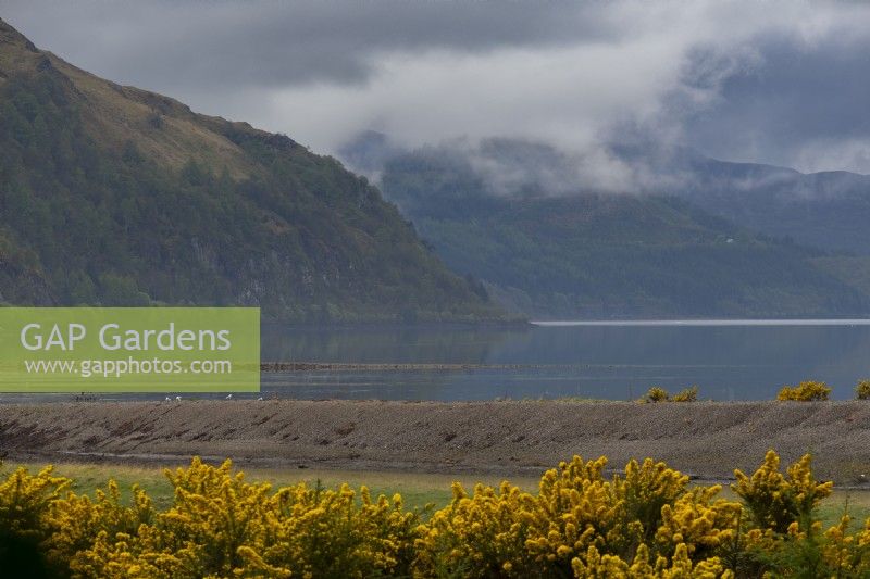 A view of placid water on Lochcarron and the surrounding hills from Attadale Gardens.