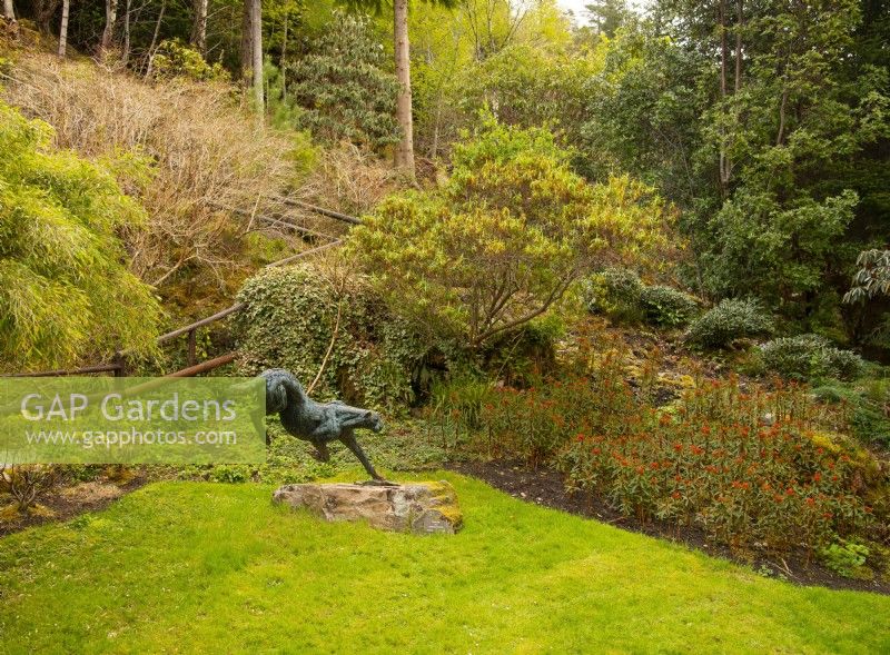A bronze cheetah sculpture by Hamish Mackie and a bed of Euphorbia next to the steps to the viewing area.