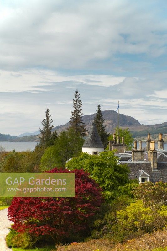 The turret and chimneys of Attadale House, Acer griseum and a view over Lochcarrron from the viewing point behind the house.