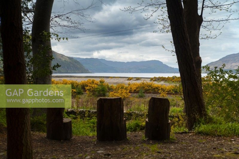 High backed seats carved from tree trunks facing Lochcarron over a dry stone wall and gorse lined train tracks.