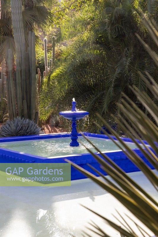 Jardin Majorelle, Yves Saint Laurent garden, pond water feature with fountain 