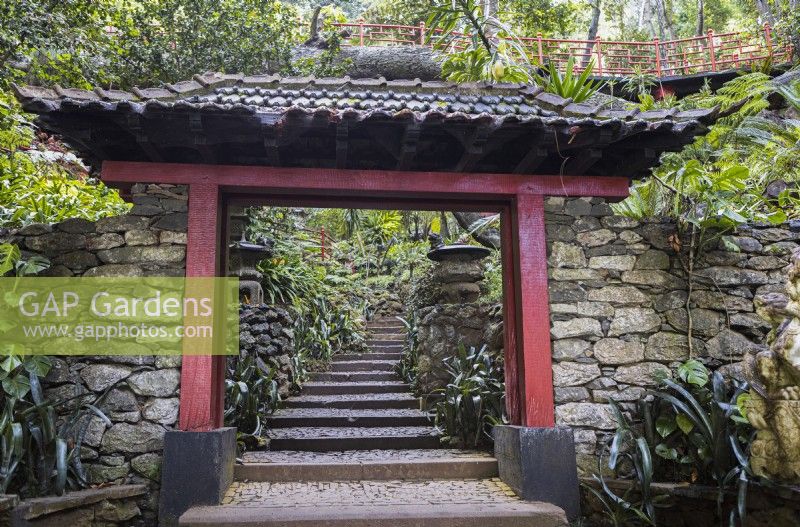 An Oriental style temple gate with steps leading beyond into a tropical garden. Monte Place Gardens. Madeira. August. 
