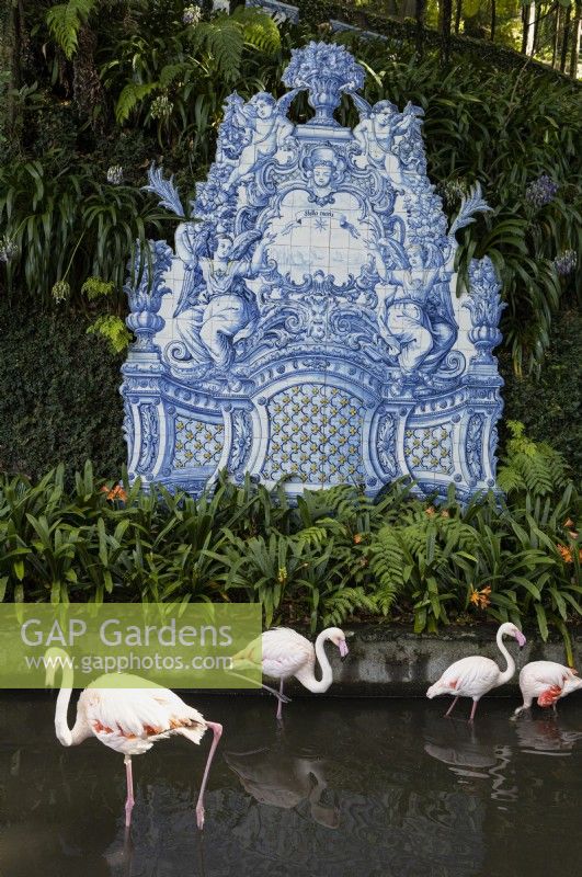 European flamingo's in front of verdant plants in a shallow pond, with wall mounted antique tiled panels within an ivy covered wall. Monte Palace Gardens, Madeira. August. Summer