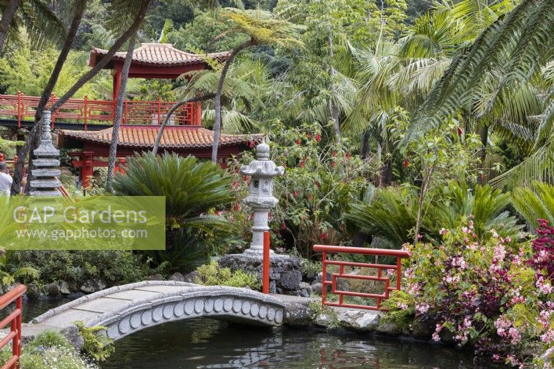 An arched stone bridge leads over a pool, with stone pagoda statues, Oriental style, red balustrades and a large, ornate pagoda in the background. Flowering shrubs are in the foreground and a variety of tropical foliage surrounds the statues and pagoda. Monte Palace Gardens, Madeira. August. Summer