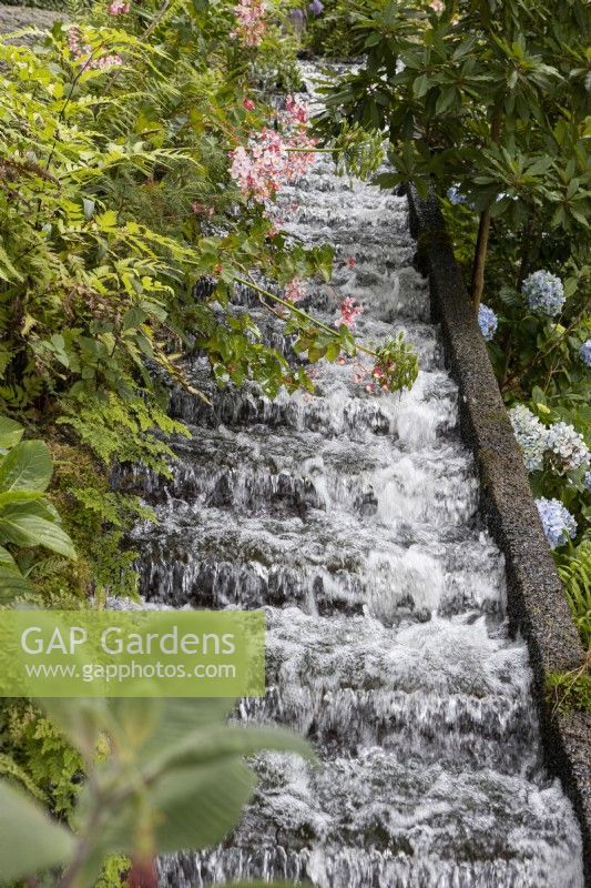 One of many water features, water tumbles down over steps with flowering shrubs and other tropical planting beside the feature. Monte Palace Gardens, Madeira