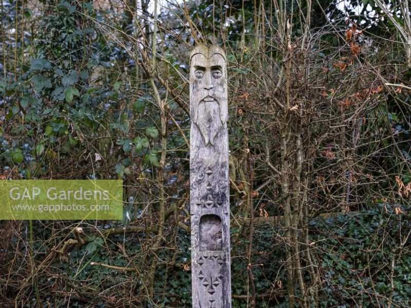 Sculptural wooden totem pole depicting the mythical  Green Man  at RHS Rosemoor in February.