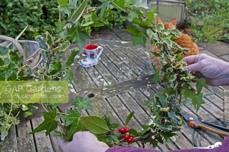 Making a simple Christmas wreath with Holly and Ivy
