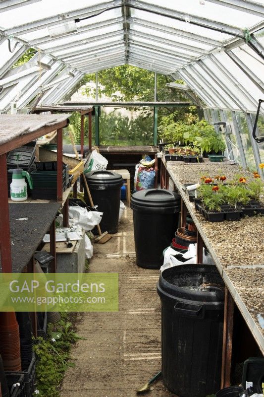 Interior of garden greenhouse