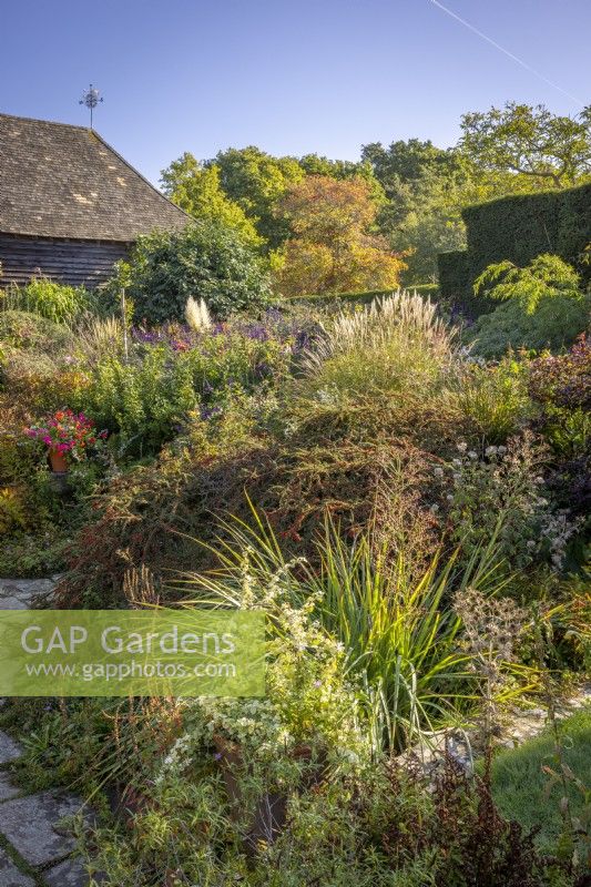 The Barn Garden in autumn with Cotoneaster horizontalis in the foreground