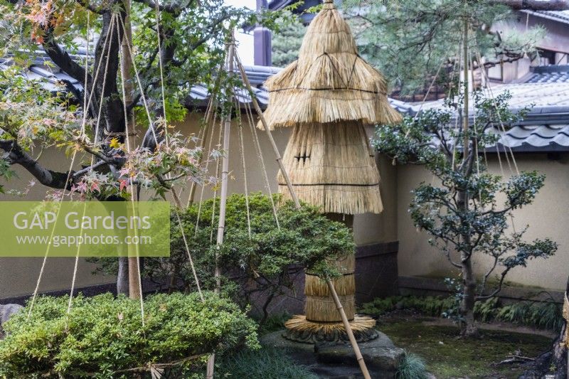 Courtyard with shrubs within wigwams of rope and bamboo as protection against snow damage. Also fragile stone ornament wrapped in decorative straw covering to prevent frost damage. 