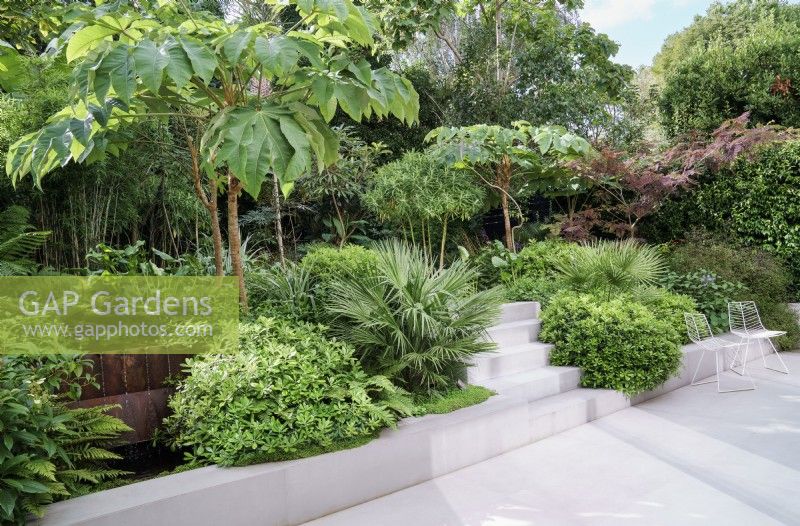 Tropical garden with white terrace and steps through lush planting