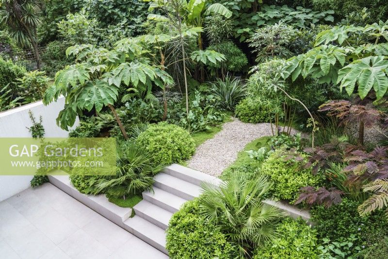 Steps and gravel pathway through tropical modern garden