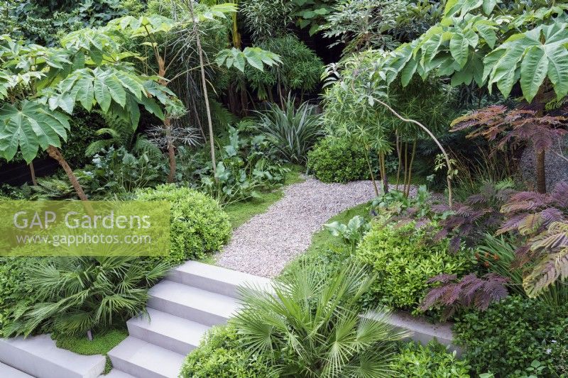 Steps and gravel path through tropical modern garden planting