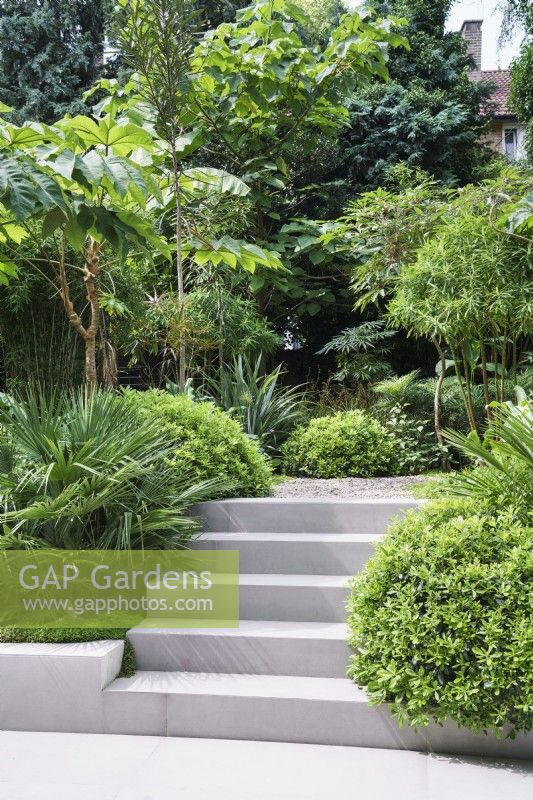 Steps through lush green planting in modern garden