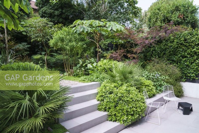 Pale grey paving and steps in lushly planted modern garden