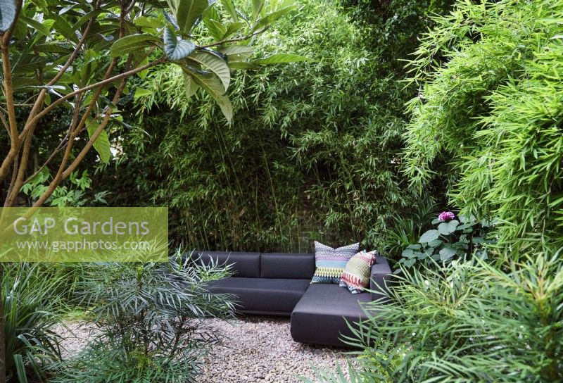 Corner sofa on gravel area in secluded part of garden. Planting includes Mahonia Soft Caress, Eriobotrya japonica and Bamboo