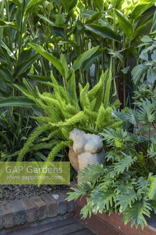 Corner detail of a shady sub-tropical garden featuring, a potted Foxtail fern, Heliconia and Philodendron, Xanadu. and a ceramic sculpture of a naked woman.