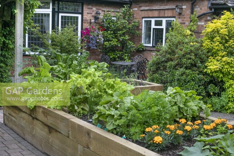 Raised vegetable beds at North Cottage, Whittington - open for Charity, June