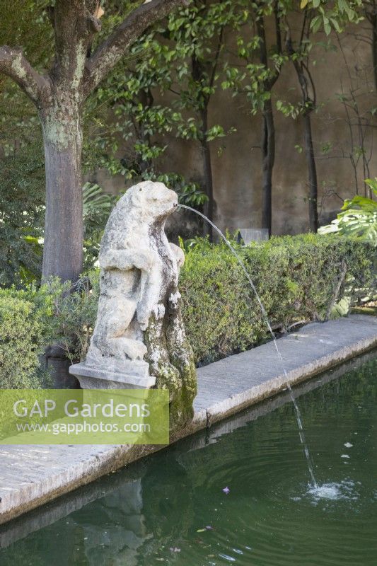 An old lion sculpture spouts water into a pool in the Real Alcazar Palace gardens, Seville. Spain. September. 