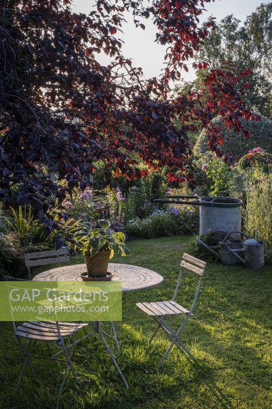 Elegant metal garden furniture, in shaded area beneath trees, in summer garden