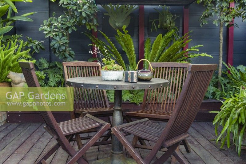A pot of mixed succulents, teapot and cups on a timber table with chairs, in a sub tropical courtyard garden.