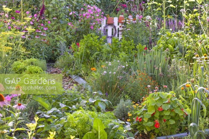 Kitchen garden full of flowers including Tagetes tenuifilia, Tropaeolum majus, Echinacea purpurea, Calendula officinalis and others to attract beneficial wildlife.