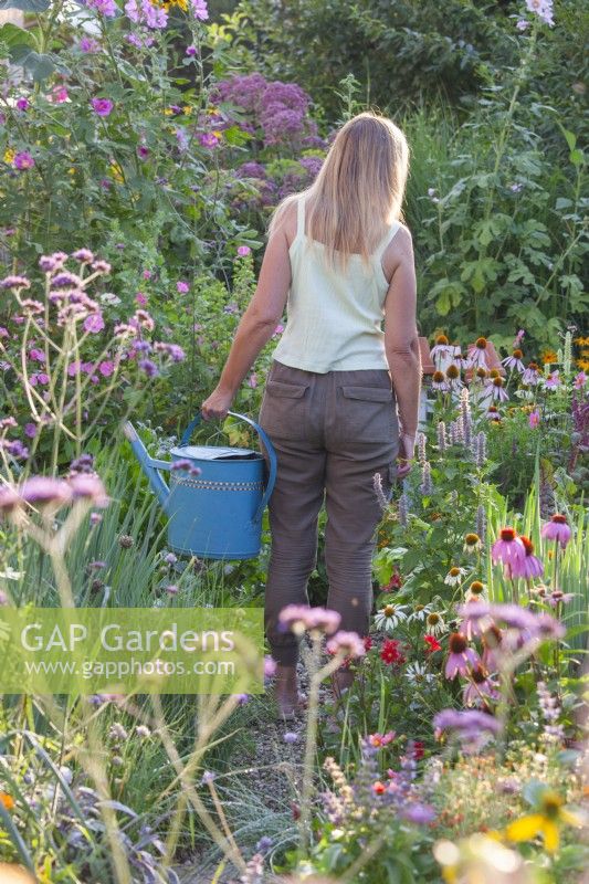 Woman with a watering can amongst perennial border.