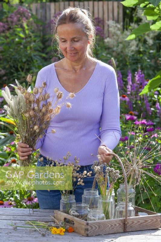 Woman collecting seeds from the garden . Nigella damascena, Allium,  Silene vulgaris and others.