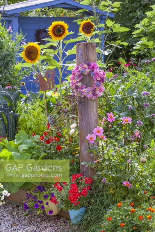 A raised bed with many flowers including dahlias, sunflowers, Verbena bonariensis and hanging pots of Surfinia and Verbena and growing vegetables. A decorative flower wreath made of hydrangea hangs on a wooden stand.