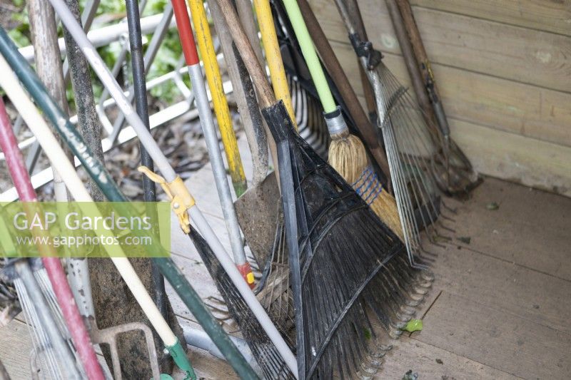 A selction of gardening tools, mainly rakes stored together. 