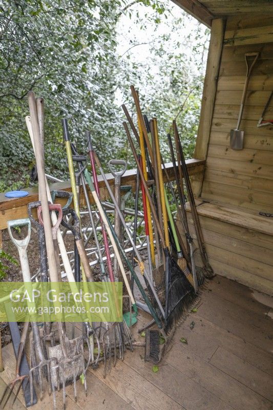 A large selection of gardening tools including spades, forks and rakes on a wooden verandah with various other tools hung on the wall behind. 