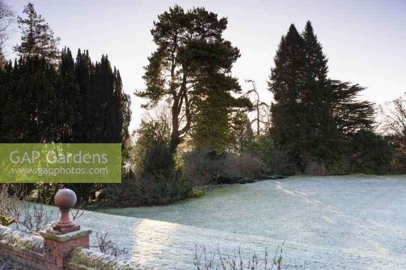 Frosty morning at Hergest Croft garden in January