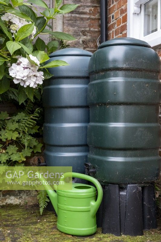 Two rain water butts that are connected the drainpipe to collect and save the rain water.
