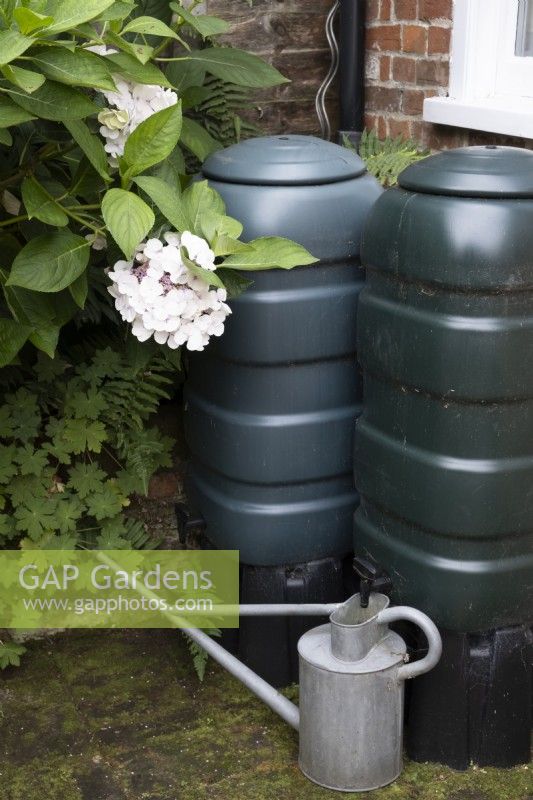 A couple of water butts for collecting the rain water for use on the garden.