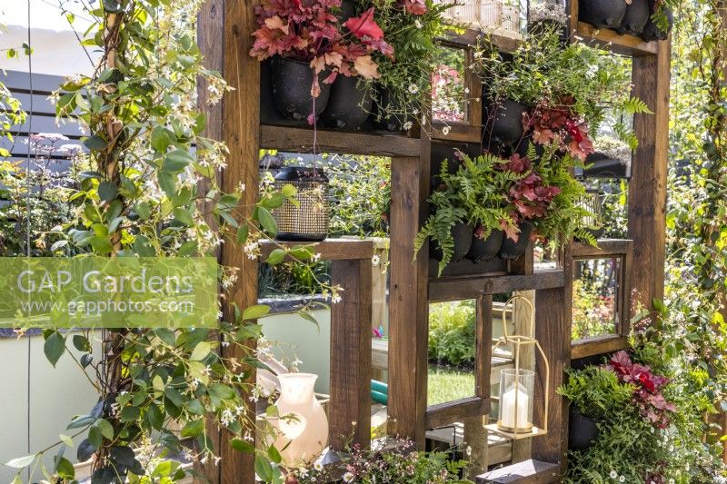 A wooden feature wall with living green wall plantings of Erigeron karvinskianus, Polypodium vulgaris, Heuchera 'Peach Flambe', Trachelospermum jasminoides and decorated with lanterns.
