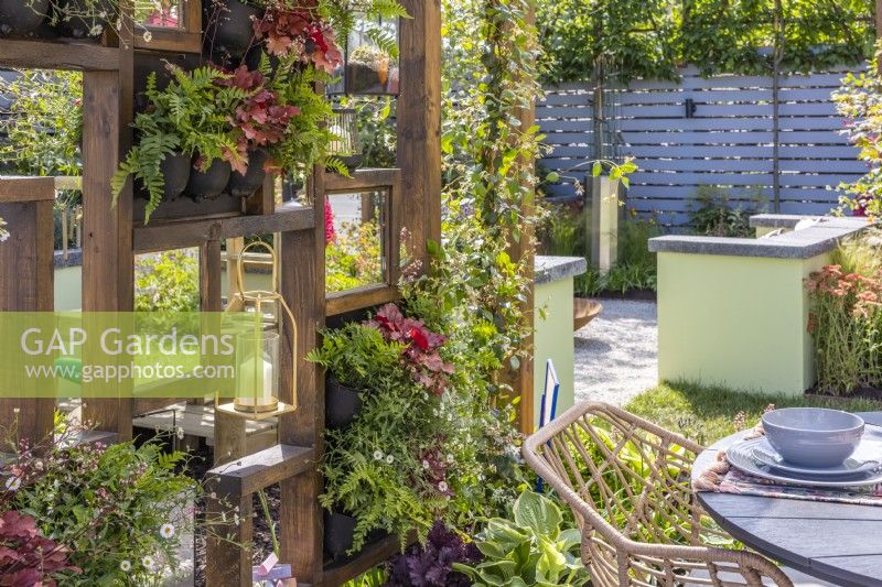 A wooden feature wall with living green wall plantings of Erigeron karvinskianus, Polypodium vulgaris, Cranberry 'Peach Flambe', Trachelospermum jasminoides and decorated with lanterns shelters the outdoor dining area.