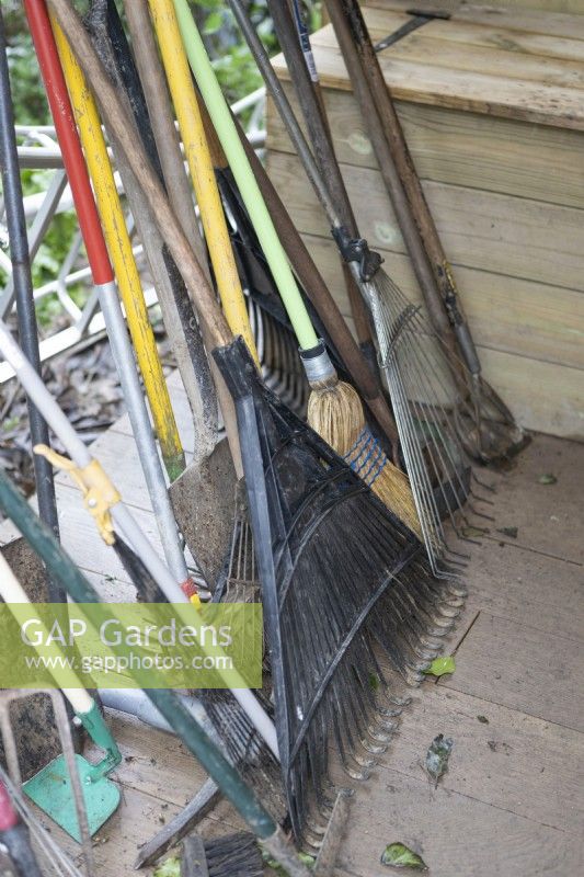 A selection of gardening tools, mainly rakes stored together. 