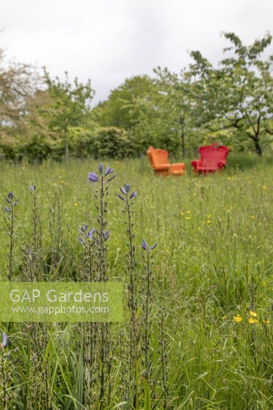 Brightly coloured plastic armchairs in a wildflower meadow at Yeo Valley Organic Garden, May