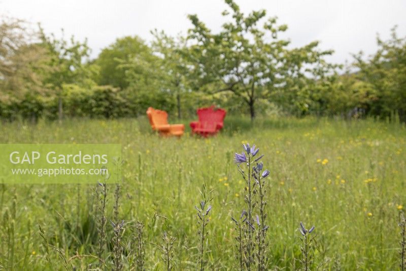 Brightly coloured plastic armchairs in a wildflower meadow at Yeo Valley Organic Garden, May