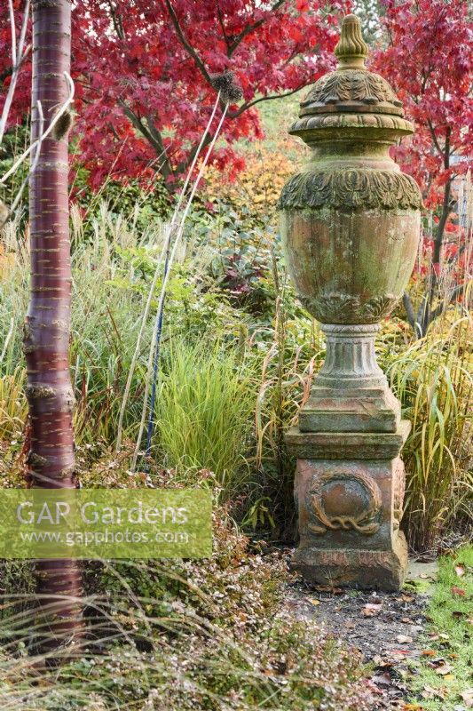 Terracotta urn surrounded by shrubs, ornamental grasses and trees including Prunus serrula in November