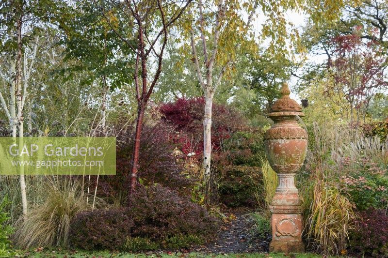 Terracotta urn surrounded by shrubs, ornamental grasses and trees including Prunus serrula and white-stemmed birches in November