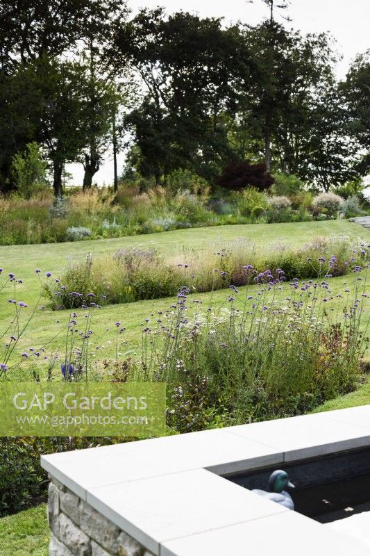 Sloping country garden with islands beds of herbaceous perennials including Verbena bonariensis in July