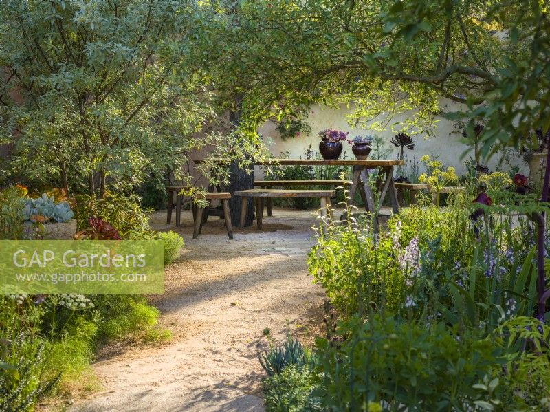 Curved path leading to dining area. The Nurture Landscapes Garden, Designer: Sarah Price, Gold medal winner Chelsea Flower Show 2023