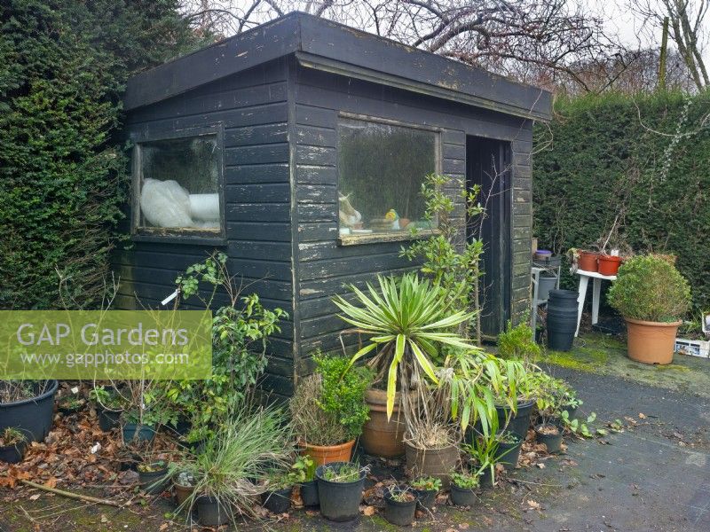 Garden potting shed in winter 