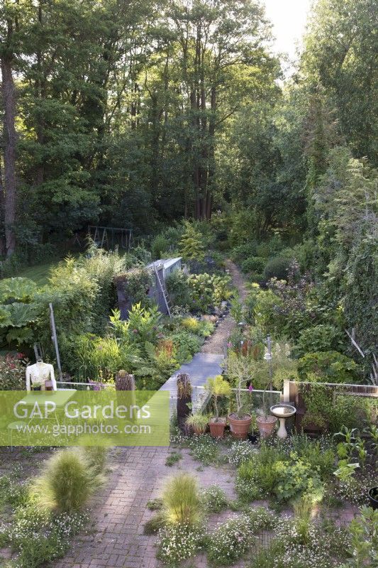Woodland garden with walkway over stream leading to black alder forest