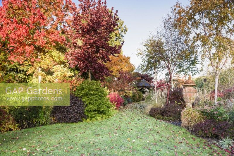 Colourful autumn garden full of shrubs and trees including liquidambars, birches and Acer rubrum 'October Glory'.