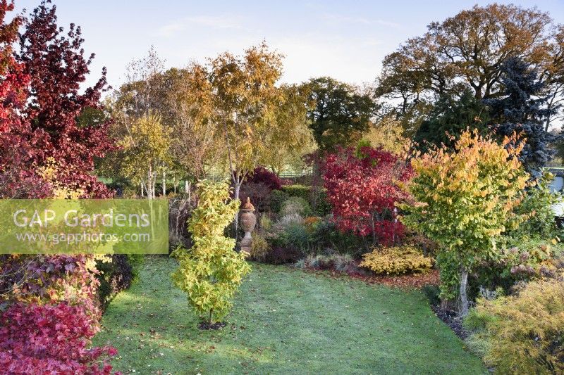 Garden full of autumn colour including acers and liquidambars.
