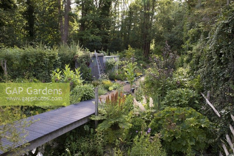 Woodland garden with walkway over stream leading to black alder forest